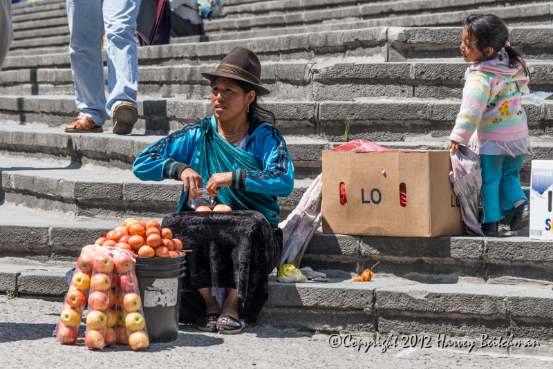 4568 Quito street scene.jpg